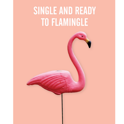 Paper Ninja - Single and Ready to Flamingle